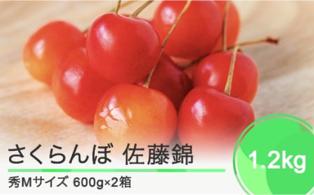 【先行予約】 さくらんぼ 佐藤錦 秀Mサイズ バラ詰め 1.2kg(600g×2箱) 2025年産 令和7年産 山形県産 ふるさと納税 果物 くだもの フルーツ 期間限定 冷蔵配送 先行受付 グルメ 取り寄せ ご当地 特産 産地 直送 送料無料 東北 山形県 人気ns-snsmb1200 ※沖縄・離島への配送不可