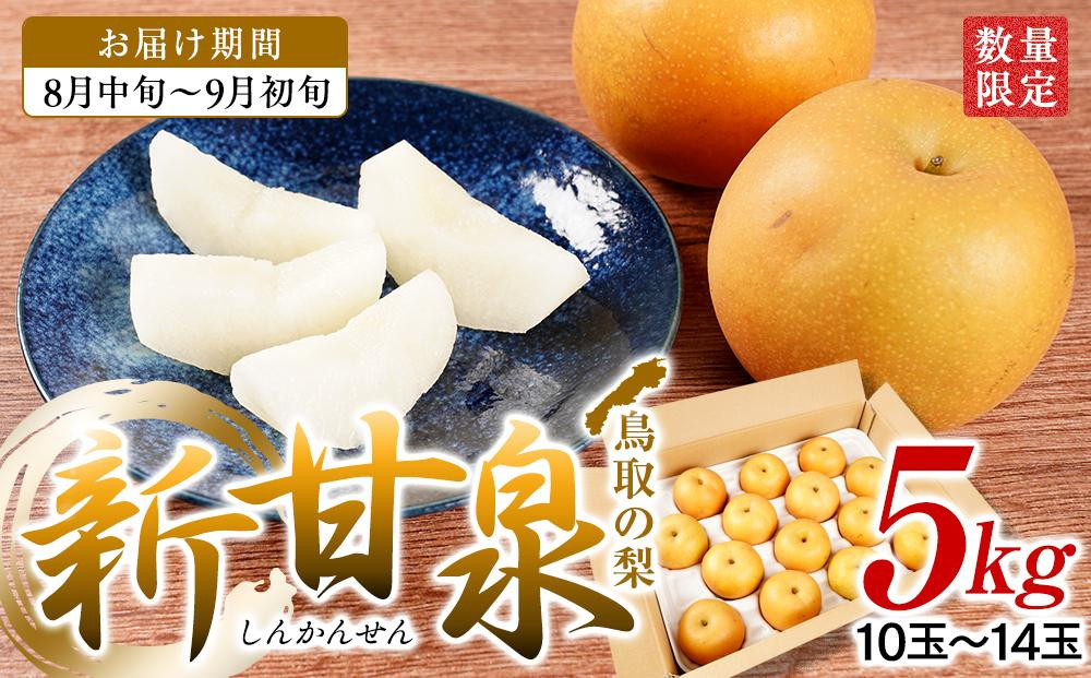 
【先行予約】梨 新甘泉梨 5kg ( 5kg × 1箱 )

