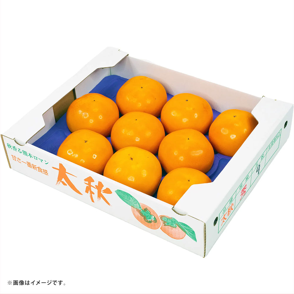 【ふるさと納税】太秋柿 選べる容量 ( 4～8玉 約2kg / 8～15玉 約3kg / 16～30玉 約6kg ) かき カキ 柿 フルーツ くだもの 果物 果実 冷蔵 お取り寄せ 熊本県 熊本市 【2026年10月上旬～11月上旬発送予定】