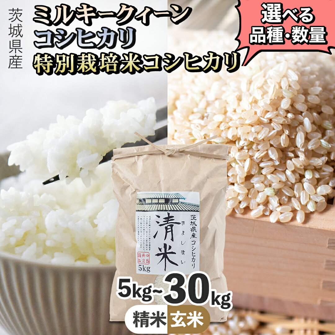 【ふるさと納税】＼ 選べる内容量 ／ 令和7年産 茨城県産 コシヒカリ / 特別栽培米コシヒカリ / ミルキークイーン （精米 5kg・10kg・26kg / 玄米 5kg・10kg・30kg） 新米 白米 清米 キヨシマイ こしひかり 米 コメ 単一米 茨城県産 おこめ（クラウドファンディング対象）