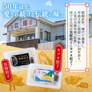 カツオ餃子10パックセット 紅龍 IB131-001 かつお餃子 カツオ餃子