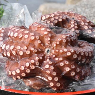 ふるさと納税 豊後高田市 船上活締め!!ゆで真ダコ丸ごと(1~4匹) |  | 02