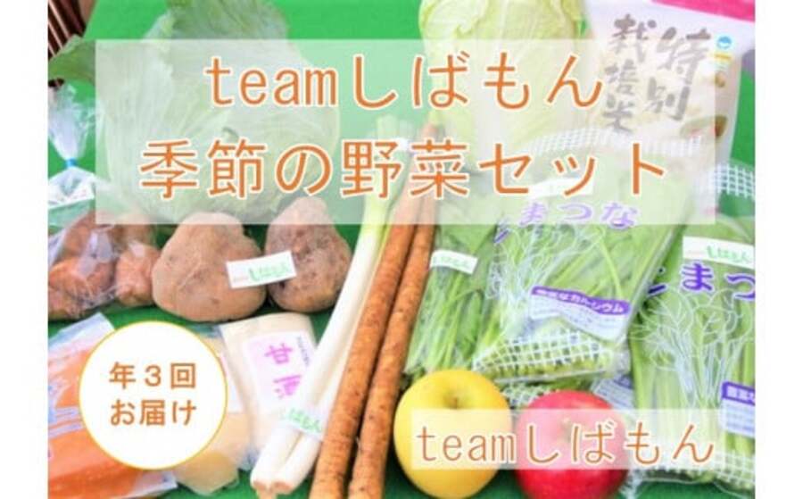 【年3回】 teamしばもん 季節の野菜セット　C17_01