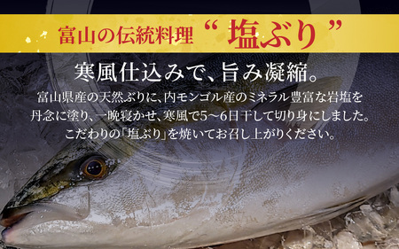 【定期便】6ヶ月連続お届け 訳あり 塩ぶり 10パックセット / 鰤 お歳暮 冬ギフト 年末 年始 切り身 天然ブリ 雑煮 おせち 下味冷凍 長期保存 おかず お弁当 1人暮らし 岩塩 塩焼き ギフト