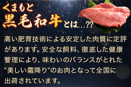 【定期便 3回】くまもと黒毛和牛 サーロインステーキ 【豪華ブロック】約1.8kg×3回 隔月配送 ブランド 牛肉 ステーキ 熊本県