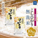 【ふるさと納税】 令和6年産 真室川町 コシヒカリ ＜無洗米＞ 10kg（5kg×2袋）