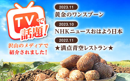 【先行予約】【メディア多数掲載！開成弥一芋】ホクホクねっとりやわらか～い里芋 2キロ【文命農業】開成町 サトイモ さといも 野菜[BDAX002]