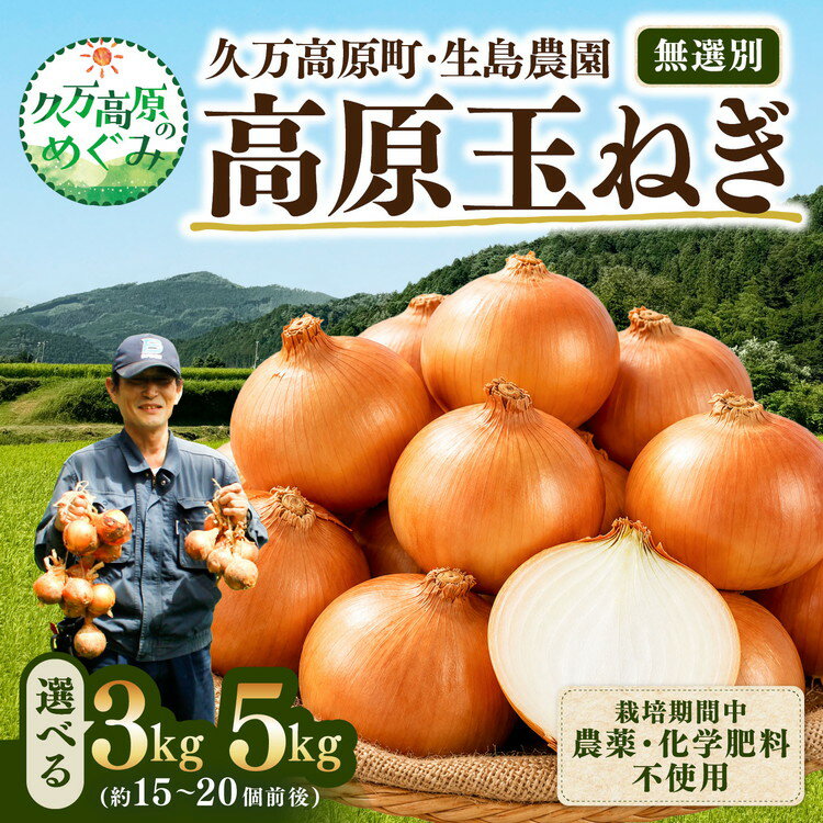 【ふるさと納税】＼選べる内容量／【先行予約】高原育ち 玉ねぎ 3~5kg｜栽培期間中 農薬・化学肥料不使用｜久万高原町 生島農園 ※2026年6月~発送