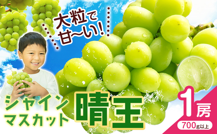 【2026年先行予約】シャインマスカット【晴王】 岡山県産 1房(700g以上) 株式会社Myself《2026年9月上旬-10月下旬頃出荷》マスカット 送料無料 岡山県 浅口市 ぶどう フルーツ 果物 贈り物 ギフト