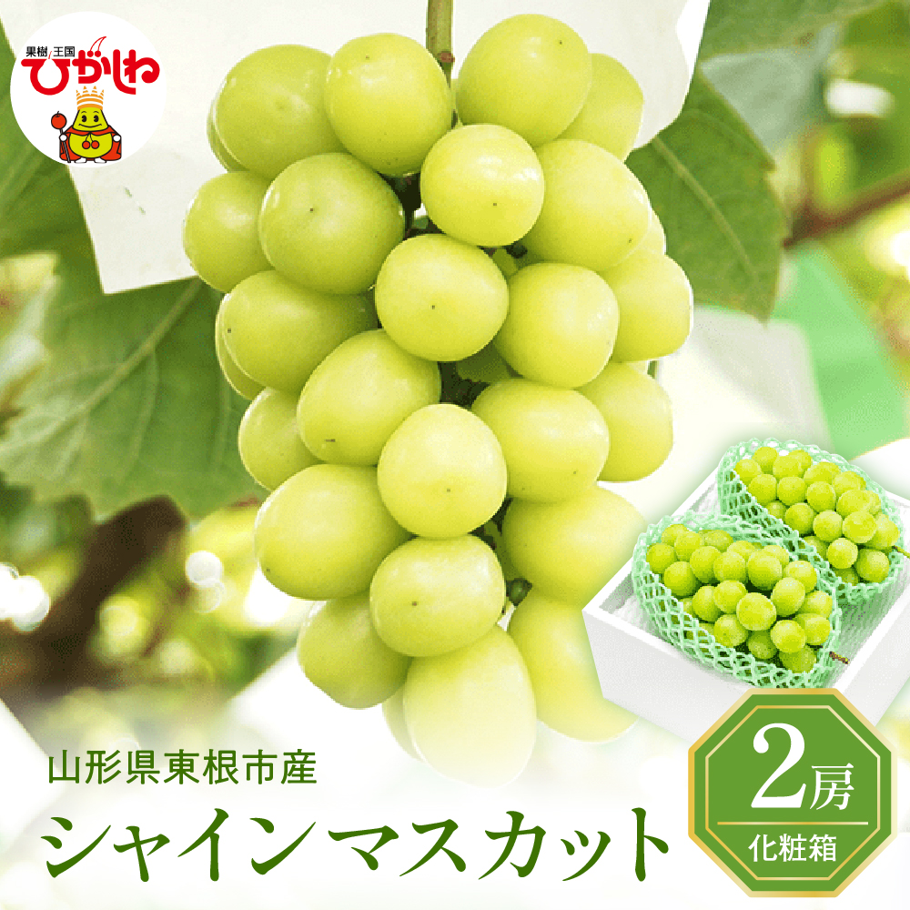 2025年ぶどう「シャインマスカット」2房(約1.2kg) 東根農産センター提供 山形県 東根市 hi027-181-2_イメージ1