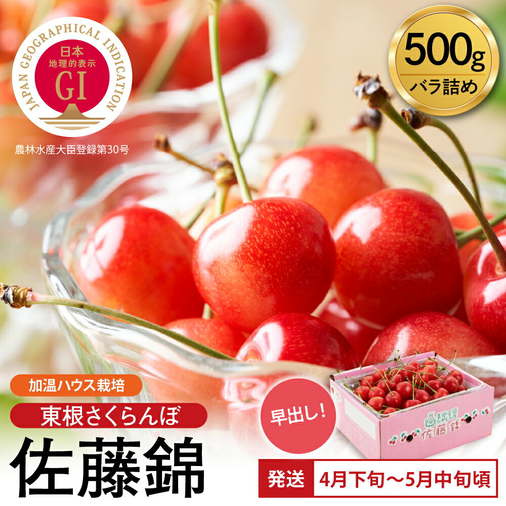 【ふるさと納税】＼超先取り4～5月発送／ 2026年産 GI 佐藤錦 「 東根さくらんぼ 」 500g バラ詰め 加温ハウス栽培 | 先行予約 令和8年 さくらんぼ チェリー フルーツ 果物 最高級 産地直送 お取り寄せ 贈答 ギフト 季節限定 ご当地 特産 産地 直送 送料無料 山形県 東根市