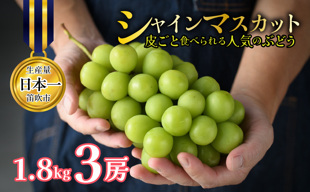 【2027年発送★先行予約】 山梨県笛吹市産 シャインマスカット 3房 約1.8kg 皮ごと食べられる人気のぶどう 262-009-27y