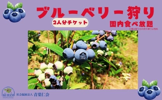 
            ブルーベリー狩りチケット大人2名 あおはにブルーベリー園 観光 チケット フルーツ狩り 食べ放題 甘い   青葉仁会 なら 奈良県 奈良市 4-163
          