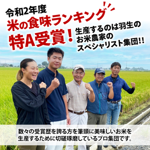 【予約】令和6年産 彩のきずな 10kg (5kg×2袋) お米 玄米 特A 埼玉県 ブランド米 羽生市 米 おこめ 米 おこめ 米 米 こめ 農家 米 こめ 産地 米 こめ 直送 米 こめ 羽生 米