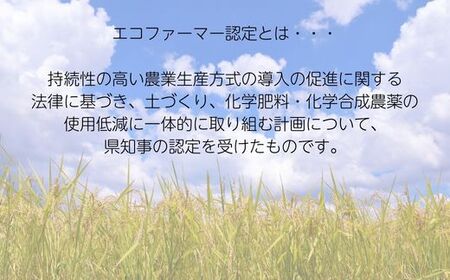 《定期便3ヶ月》 令和7年産 新米【エコファーマー認定】 コシヒカリ 白米 5kg ／ 米 こめ コメ ごはん ご飯 お米 おこめ 精米 白米 新米 エコファーマー認定 5kg 定期便 令和7年 千葉