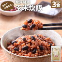 【ふるさと納税】洗わずそのまま 発芽酵素 玄米炊飯 セット 3合 (450g) 約7食分 玄米 酵素玄米 うるち米 熟成 残留農薬ゼロ 国産 大分県 九重町 送料無料