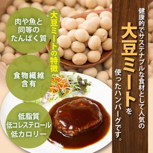 大豆ミートで作った美味しいデミグラスソースハンバーグ 150g×12個　KP8406