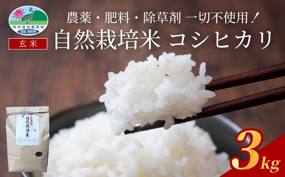 
                  自然栽培米こしひかり（玄米）３kg｜鳥取 岩美 岩美町産 お米 こめ 玄米 無農薬 無肥料【31007】
                