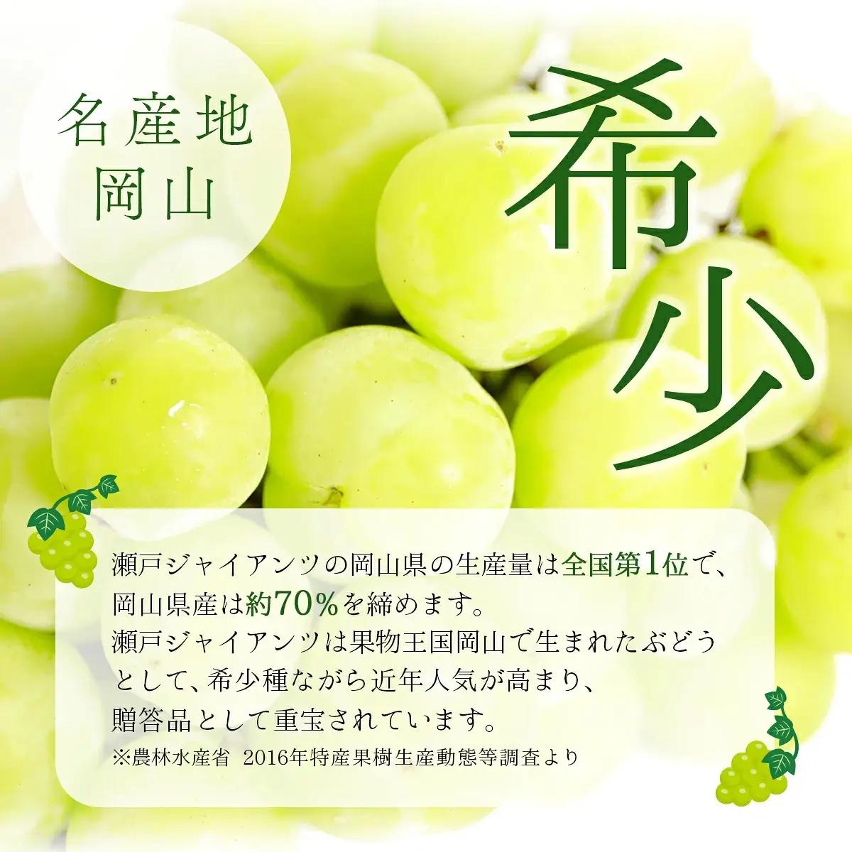 【期間限定】 鏡野町産 瀬戸ジャイアンツ 2kg（2～4房）