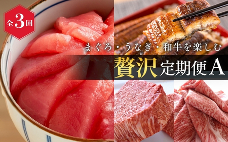 定期便【全3回/毎月お届け】まぐろ・うなぎ・和牛を楽しむ贅沢定期便A / 鮪 マグロ 刺身 鰻 ウナギ 蒲焼 熊野牛 肉 牛肉 和牛 黒毛和牛 ヒレ ロース シャトーブリアン ステーキ スライス【tkb386】