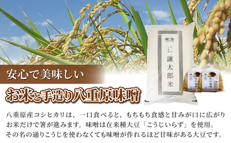 【太陽と大地】八重原産特別栽培米（減農薬・減化学肥料栽培）コシヒカリ（白米）１０kgと信州味噌「八重原味噌」１kgのセット