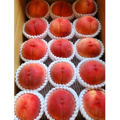 【2026年先行受付】農家直送の桃　5kg(18～12個)【配送不可地域：離島】