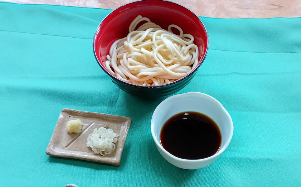 生うどん 100g×5人前×2セット