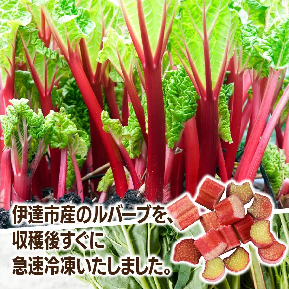 北海道 伊達市産 ルバーブ(B品／冷凍) 3kg【kzh-015】