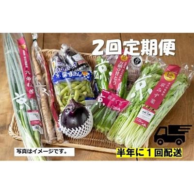 ふるさと納税 京都市 &lt;2回　定期便&gt;【JA全農京都】半年に1回配送!季節の京野菜セット