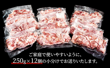 豚肉 千葉県産 小間切れ 飯田プレミアムポーク 豚肉【3kg(250g×12)】【定期便3ヶ月】【冷凍】