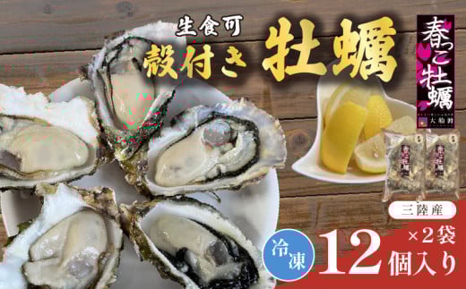 【 数量限定 】生食 冷凍 牡蠣 殻付き牡蠣 春っこ 牡蠣 2袋 (12個入×2 ) 数量限定