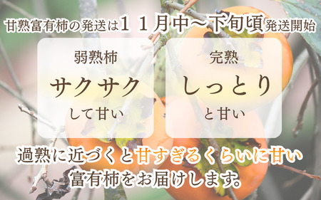先行予約 富有柿  約2.5～3kg 秀優混合 サイズ混合 【2026年11月中旬～12月下旬頃発送予定】～こんな美味しいの「食べるのはじめてや!」の感動をお届けします。～ / 柿 富有柿 和歌山県 