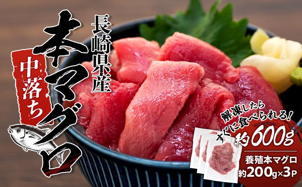 年内発送　長崎県産　本マグロ中落ち（約600ｇ）