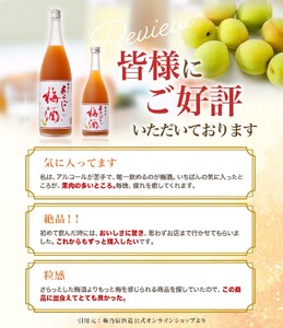 梅乃宿　あらごし梅酒　１８００ｍｌ／濃厚　デザート梅酒　果実たっぷり　葛城市　人気　おいしい