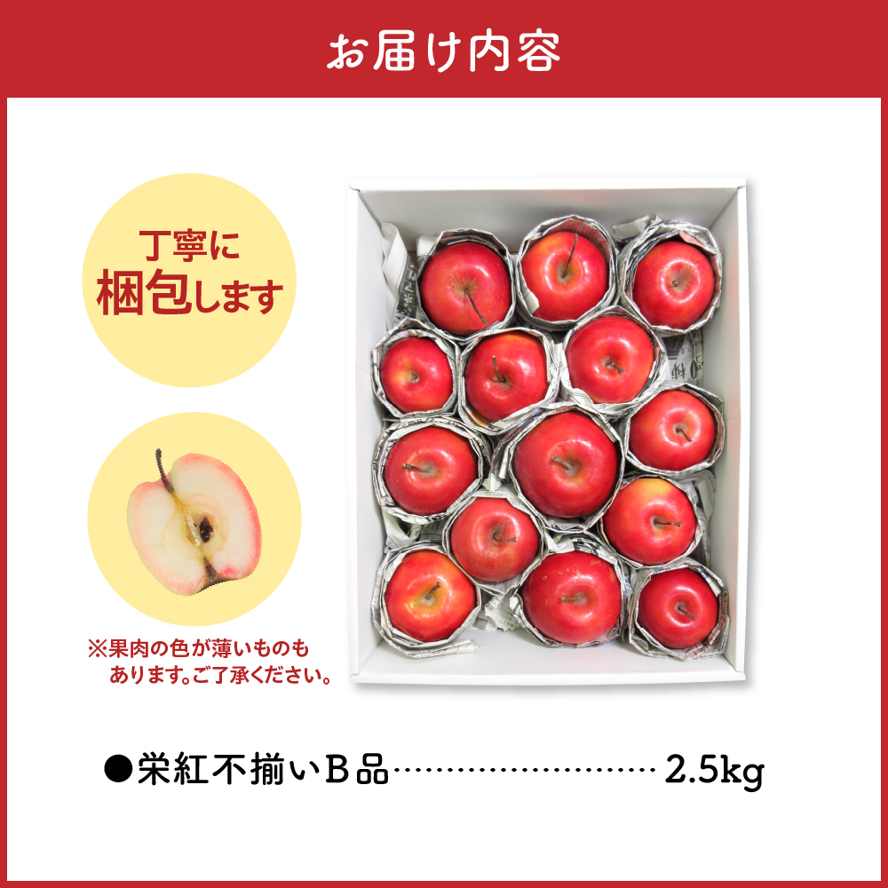 【ANA限定】中まで赤～いりんご<栄紅>【2026年11月中旬発送】訳あり 約 2.5kg 不揃い B品 家庭用 青森県 五所川原市 りんご リンゴ