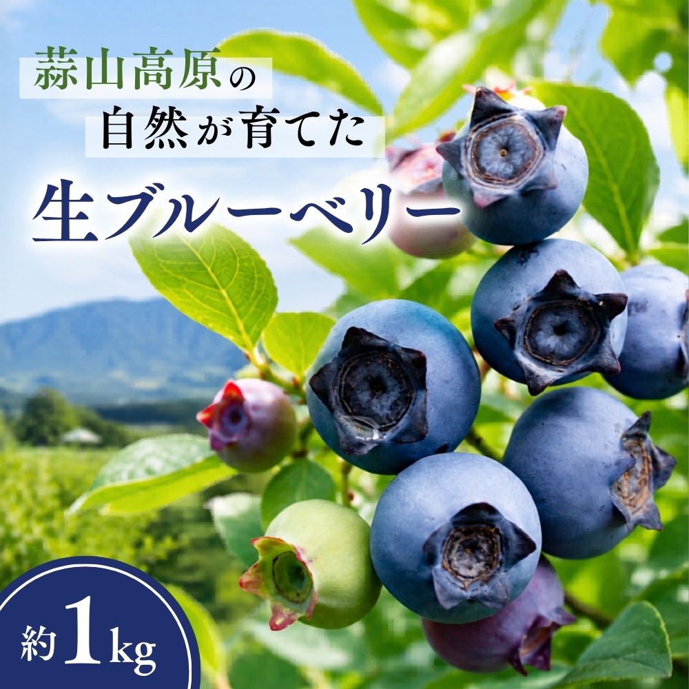 【ふるさと納税】 先行予約 ブルーベリー 約 1kg ( 500g 2パック ) 2026年 7月中旬～8月下旬 発送 | 蒜山高原 観光 ブルーベリー園 冷蔵 産地直送 果物 フルーツ くだもの 新鮮 スムージー ヨーグルト ジャム 国産 新鮮 ブルーベリー 甘い 岡山県 真庭市 送料無料 数量限定