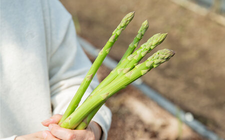 《先行予約》 アスパラガス 800g （2L～Lサイズ） 【2026年3月上旬-5月上旬 発送予定】 | 神戸ファーム 野菜 アスパラ 新鮮 旬 グリーンアスパラ