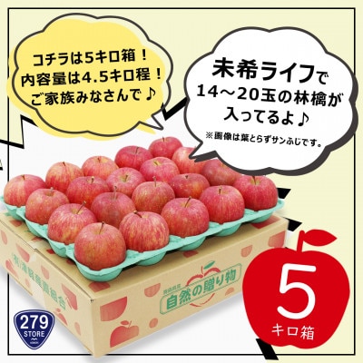 9月初旬頃発送 未希ライフ 家庭用 5キロ箱 4.5kg 14～20玉 津軽りんご 産地直送 冷蔵【配送不可地域：離島】