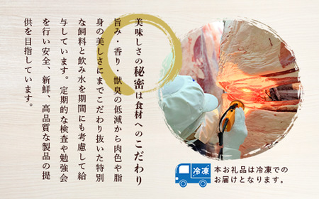 豚肉 モモ切り落とし 3kg 豚肉