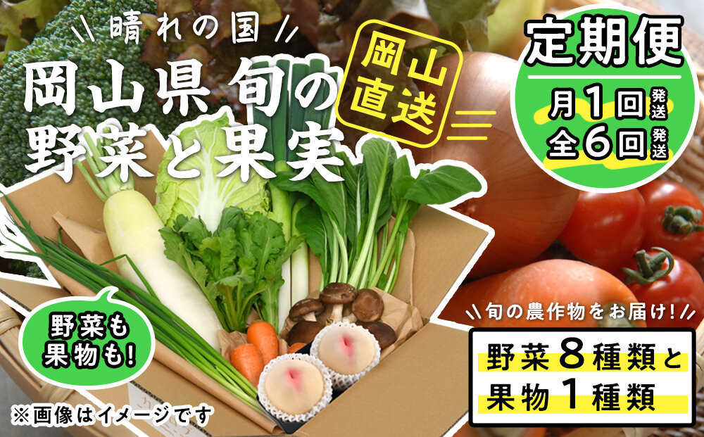
            【定期便】晴れの国おかやま　旬の野菜8種と果物1種〈月1回・全6回〉
          