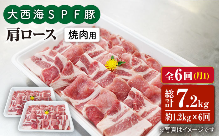
                  【月1回1.2kg×6回定期便】大西海SPF豚 肩ロース（焼肉用）計7.2kg 訳あり ＜大西海ファーム＞ [CEK091]
                