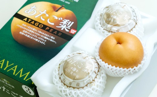 あたご梨 3玉 合計約1.5kg