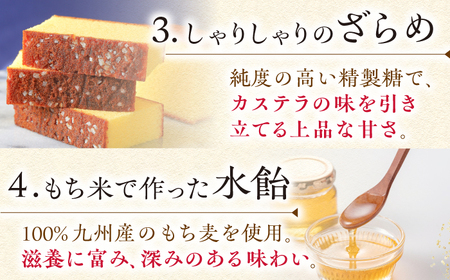 【全3回定期便】 カステラ 5切×3種 （ プレーン /  抹茶 /  チョコレート ） カット包装 《長与町》《文明堂総本店》 [EAK006] / カステラ 文明堂 カステラ カット済み ザラメ 