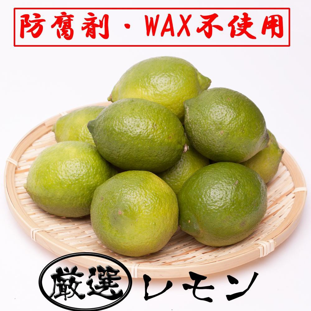 
            ＜9月より発送＞ 厳選 黒潮 レモン 3.5kg+105g（傷み補償分） 和歌山有田産 防腐剤・WAX不使用 安心の国産レモン［IKE128］
          
