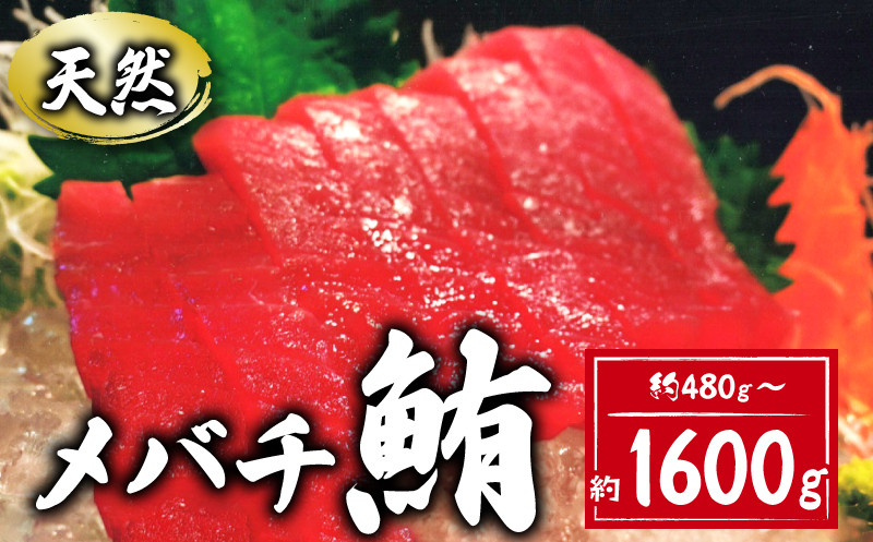 
            天然 メバチまぐろ切身 選べる容量 480g～1.6kg まぐろ 鮪 刺身 赤身 肉 鉢マグロ ネギトロ マグロ漬け 海鮮丼 丼 寿司 鉄火丼 手巻き寿司 魚 海鮮 魚介 おつまみ おかず 冷凍 小分け 個包装 お取り寄せ 国産 まぐろ 千葉県 銚子市 和田水産
          