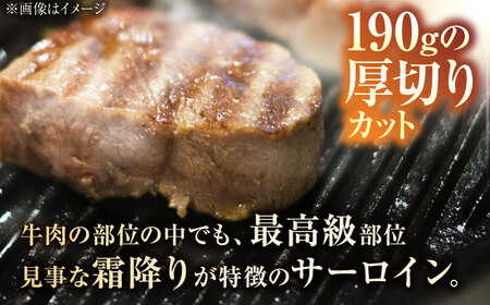 A5ランク 佐賀牛 厚切り サーロインステーキ 380g (190g×2枚) /焼肉どすこい [UCC015] 佐賀牛 牛肉 黒毛和牛 佐賀牛ステーキ 佐賀牛サーロイン 佐賀牛サーロインステーキ 佐賀
