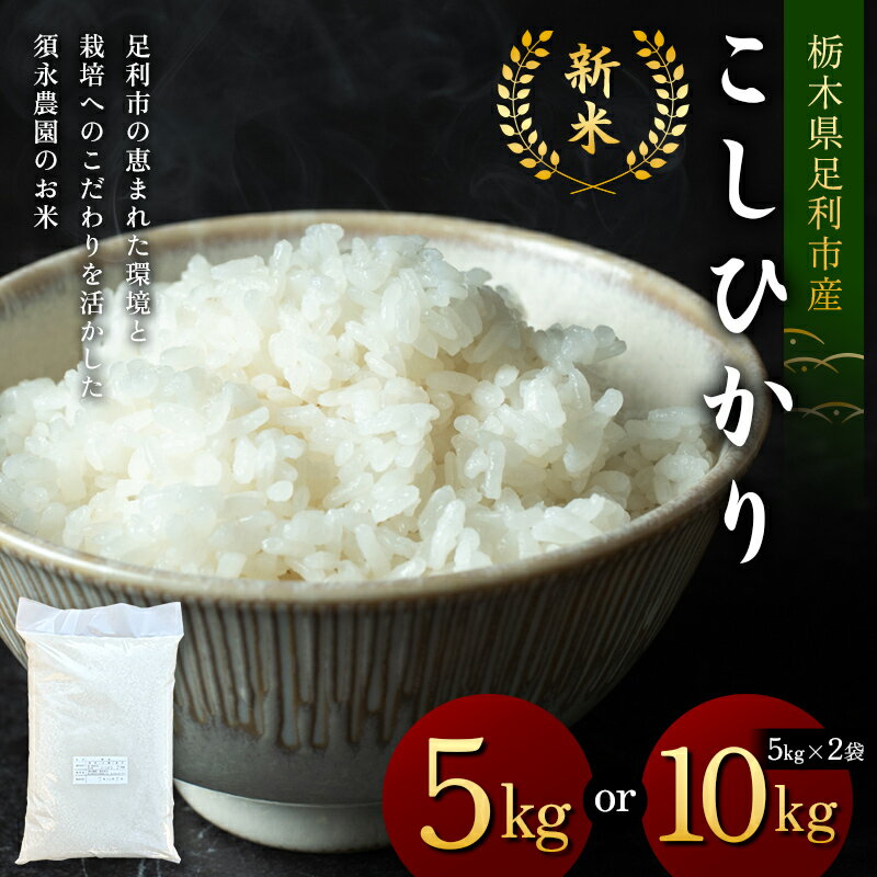 【ふるさと納税】＼選べる容量／令和7年産 新米 栃木県足利市産 コシヒカリ 5kg 10kg〈5kg×2袋〉 精米 白米 米 こめ ごはん 食品 栃木県 足利市 F7Z-1813var
