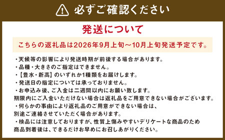 九重町産 梨 約2.7kg 豊水 新高 果物 フルーツ 大分県産 【2025年9月上旬-10月上旬発送予定】