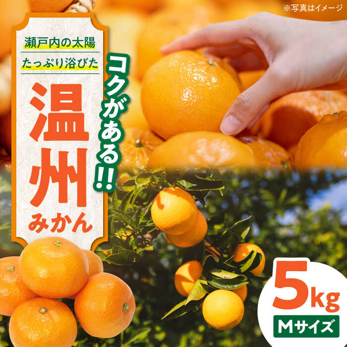 【ふるさと納税】【先行予約】【11月下旬から順次発送】 温州 みかん（南柑20号） 5kg | 人気 おすすめ ランキング おいしい 甘い 果物 フルーツ 柑橘 大洲市/永沼農園[AGAW001] 10000 10000円