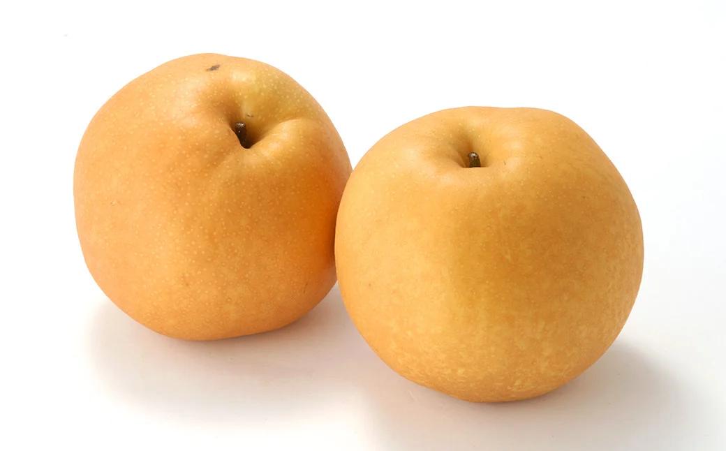 熊本県産新高梨 約7.5kg